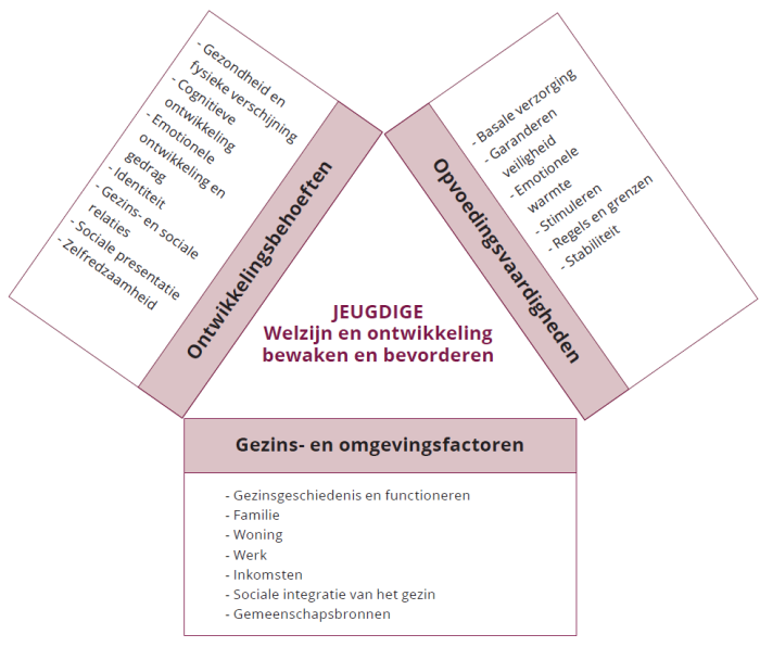 Framework for the Assessment of Children in Need and their Families