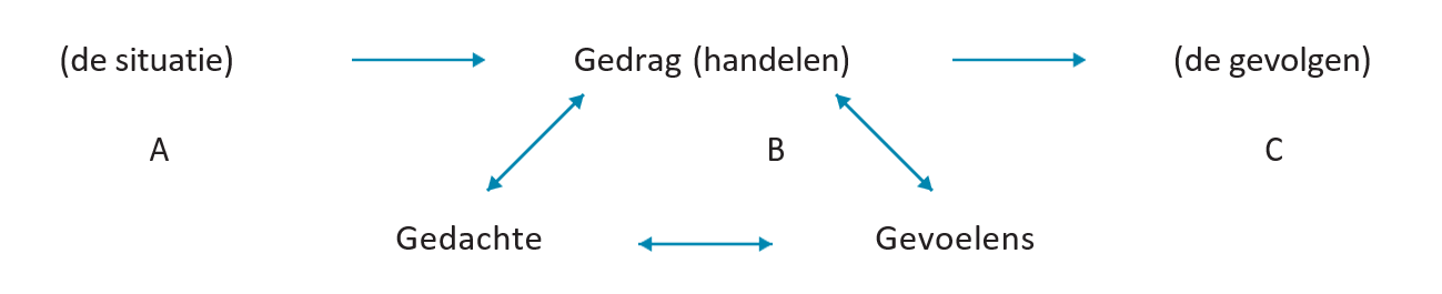 Schema Cognitief gedragstherapeutische principes