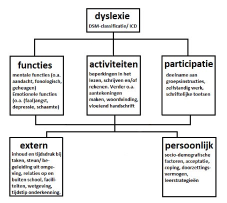 Figuur ICF-model richtlijn Dyslexie